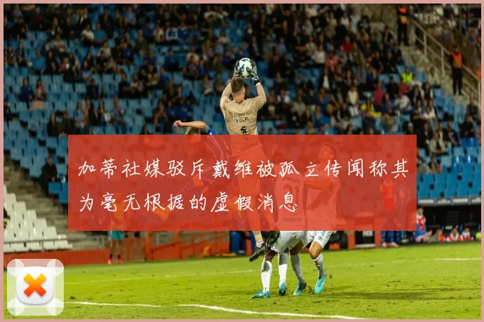 加蒂社媒驳斥戴维被孤立传闻称其为毫无根据的虚假消息