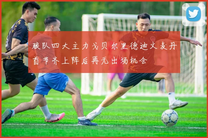 狼队四大主力戈贝尔里德迪文麦丹首节齐上阵后再无出场机会