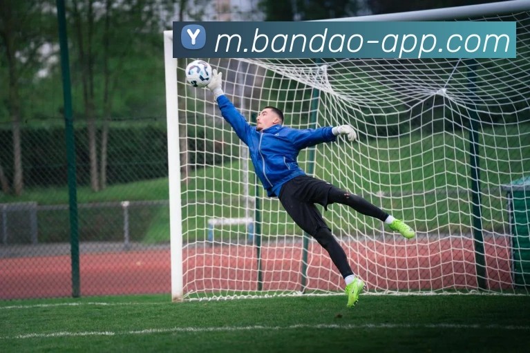 App Interface Preview