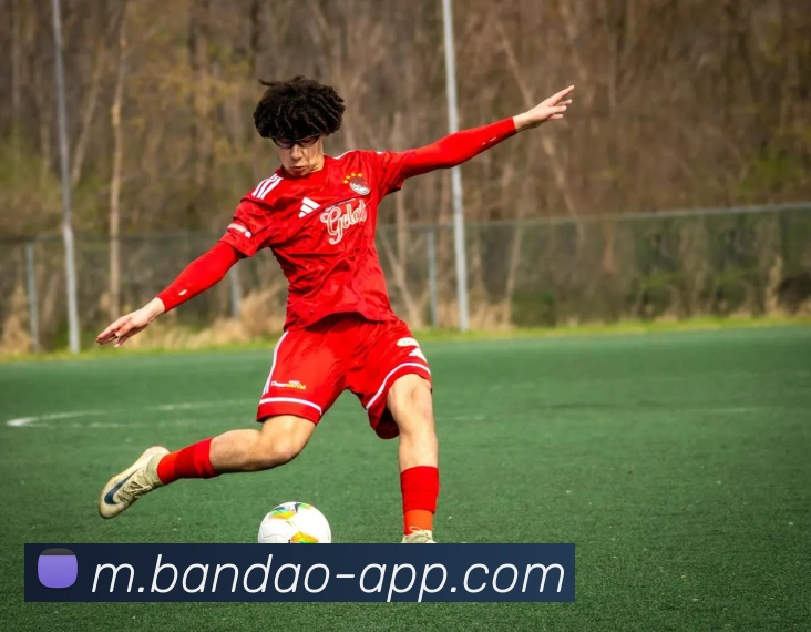 半岛体育APP 封面图